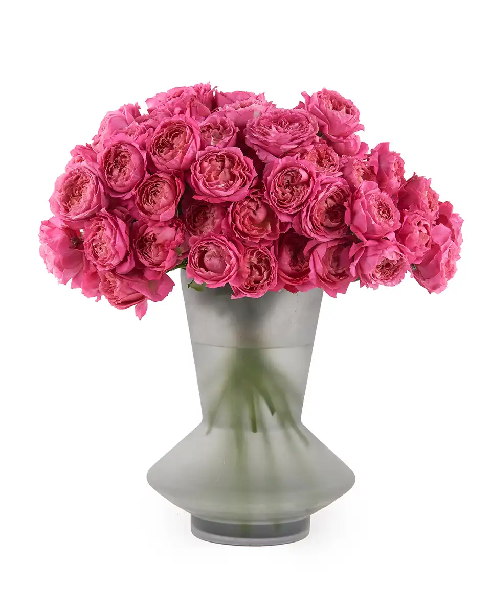 Crazy for Cerise Oct 2025