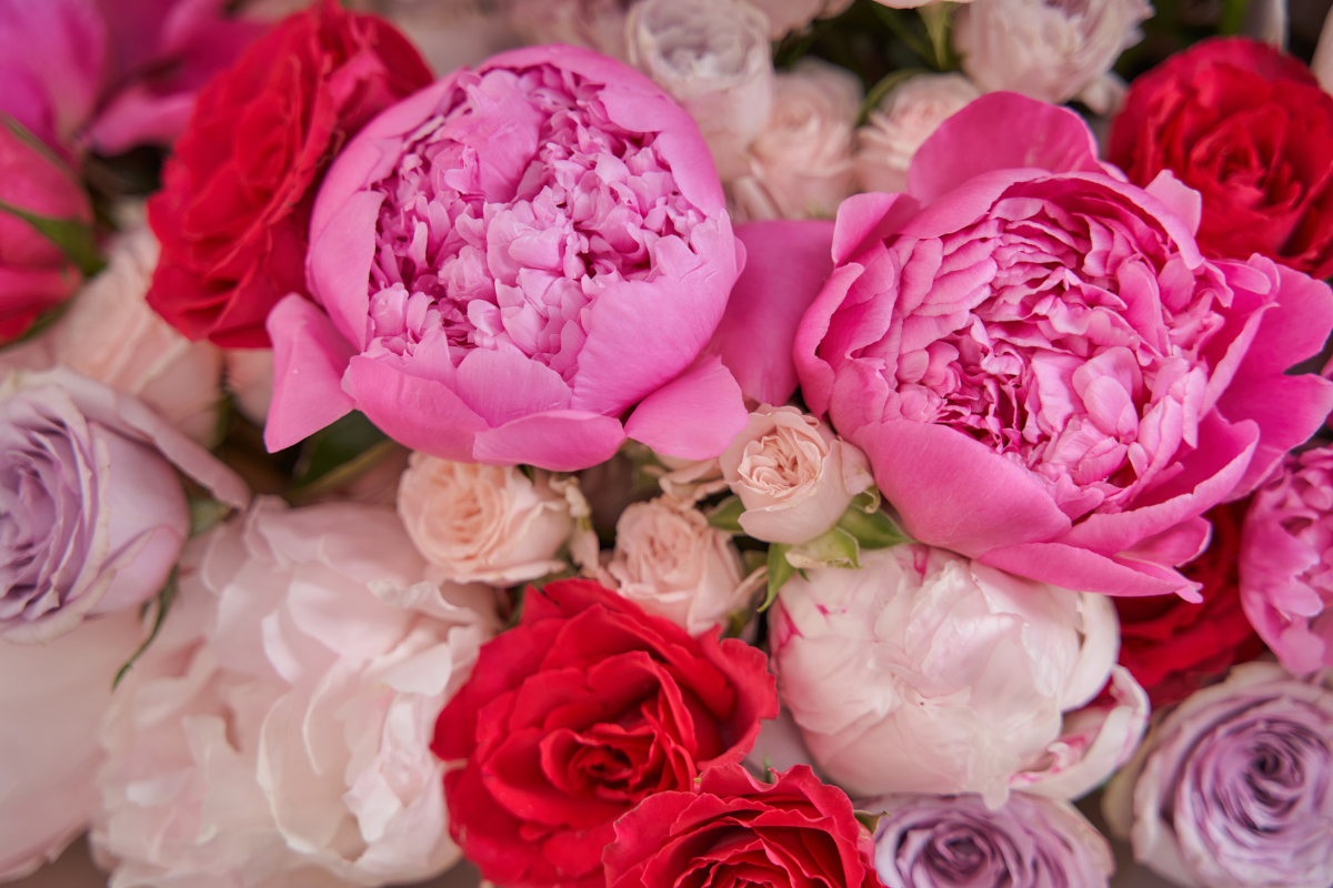 Darcey Flowers Luxury Dubai