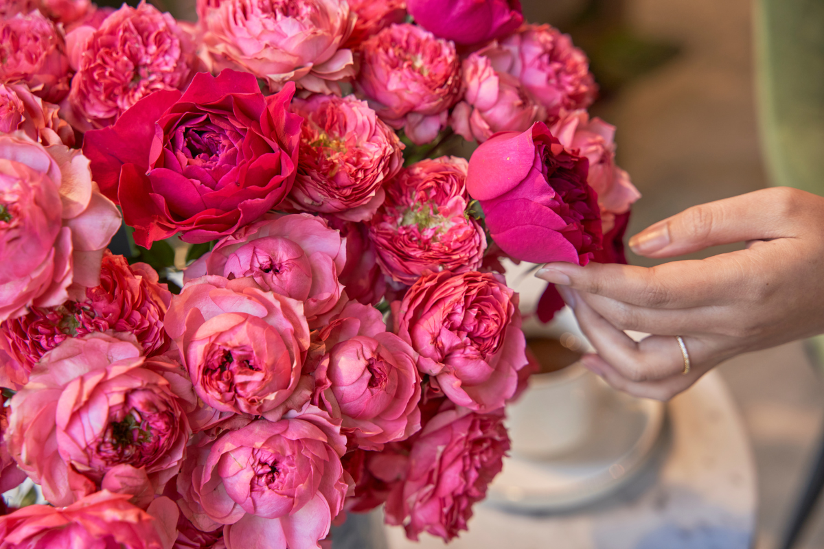 Darcey Why Luxury Flower Shops Stand Out in Dubai
