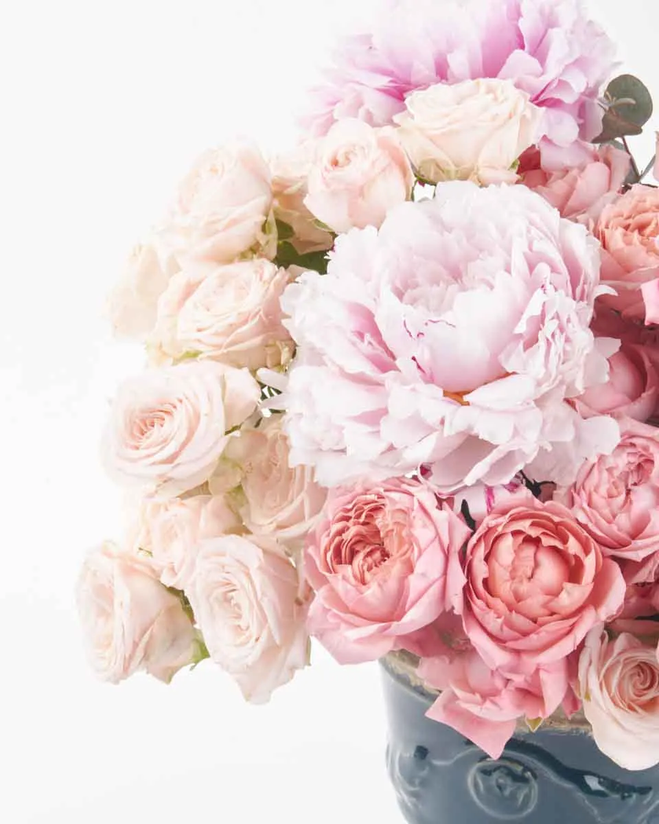 Favorite Two Oct 2025 (1)