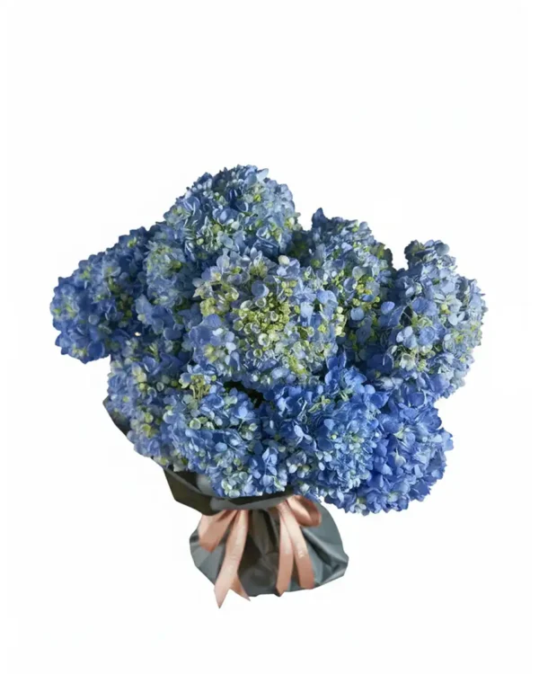 Heavenly Hues 2025 Impressive