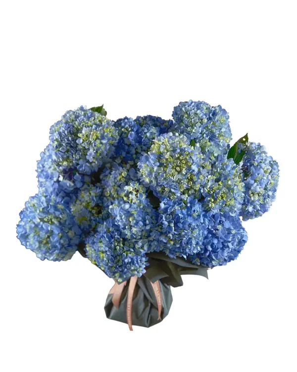 Heavenly Hues 2025 Superb