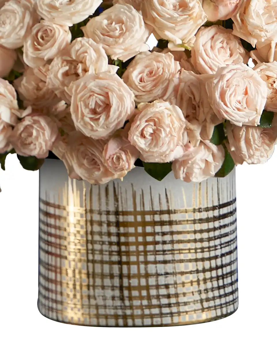 Katrina edited 2025 Details Katrina edited 2025 Details