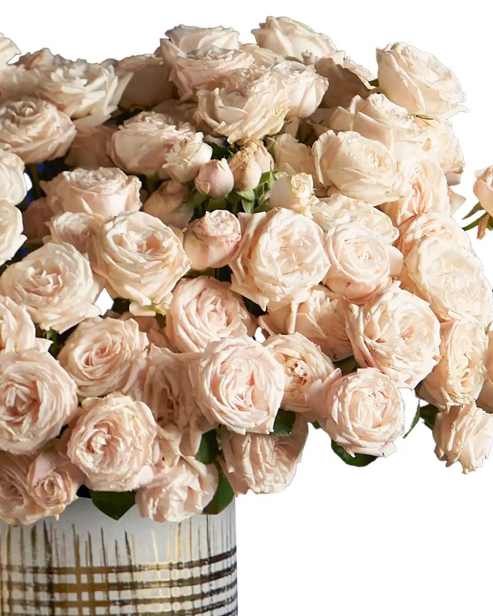 Katrina edited 2025 Details2 Katrina edited 2025 Details2