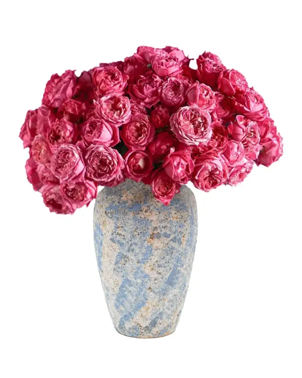 Love Me Julieta Edited