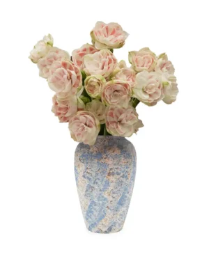 Lovely Amaryllis Edited