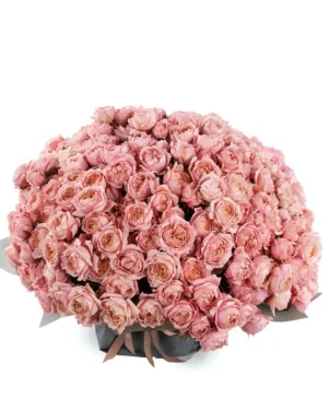 MY MEGA BLOOMS GRAND Edited 2025