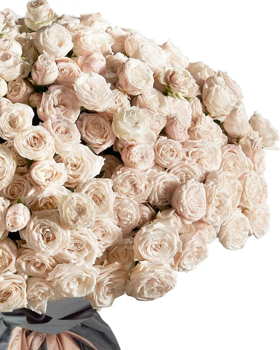 Madam Bombastic Edited 2025 Details