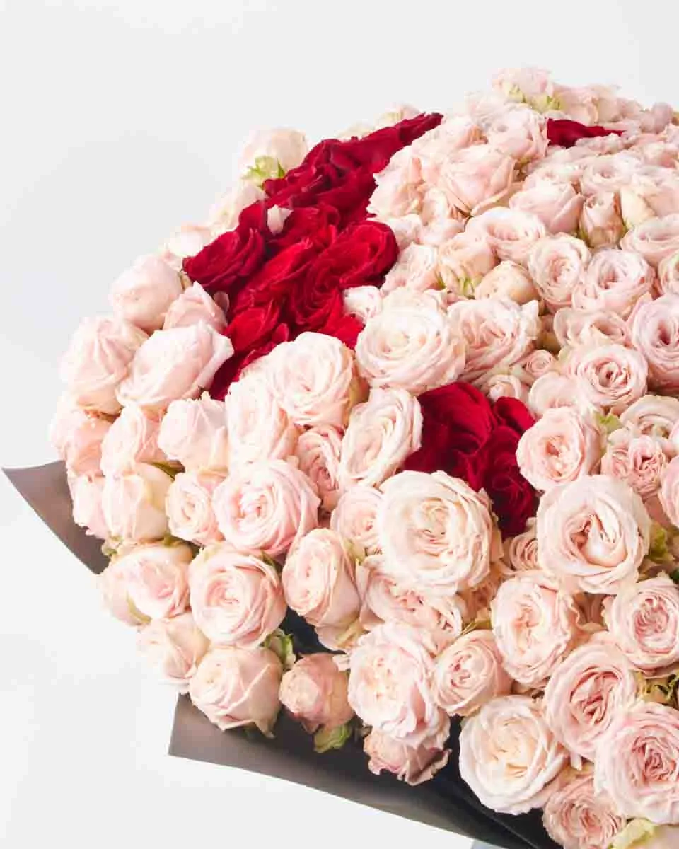 Mega Bombastic Red 29 OCt 2025Right Mega Bombastic Red 29 OCt 2025Right