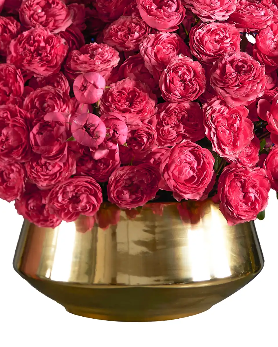 Mega Raspberry 24 Oct 2025 Close Mega Raspberry 24 Oct 2025 Close