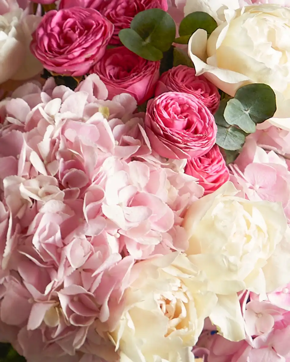 Miaela Close Miaela Close