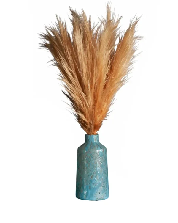 PAMPAS SWAY Edited