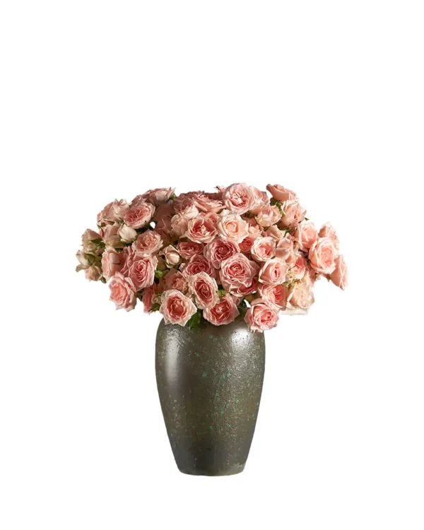 PERFECT PEACH Edited