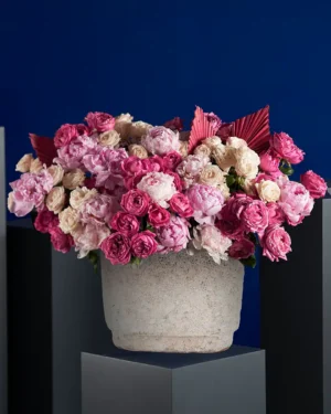 PINK AVALANCHE 20 Oct 2025