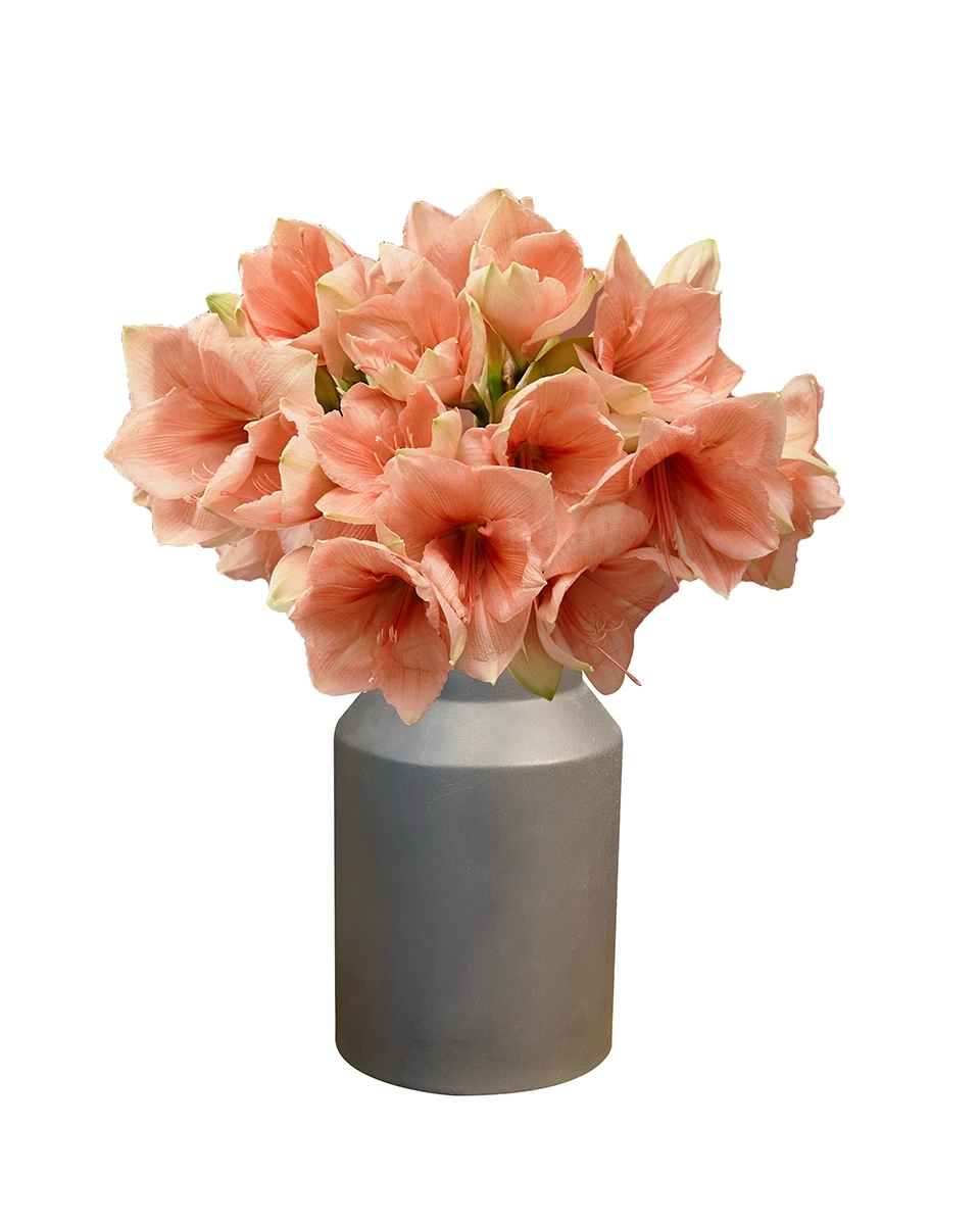 Rilona Baby Edited Vase