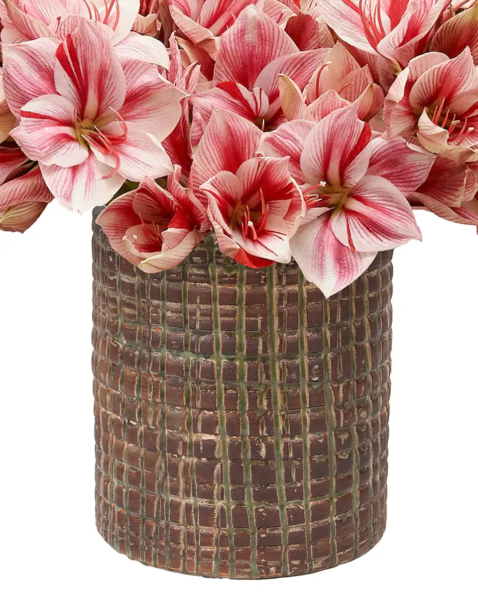 Simply Gervase Details Simply Gervase Details