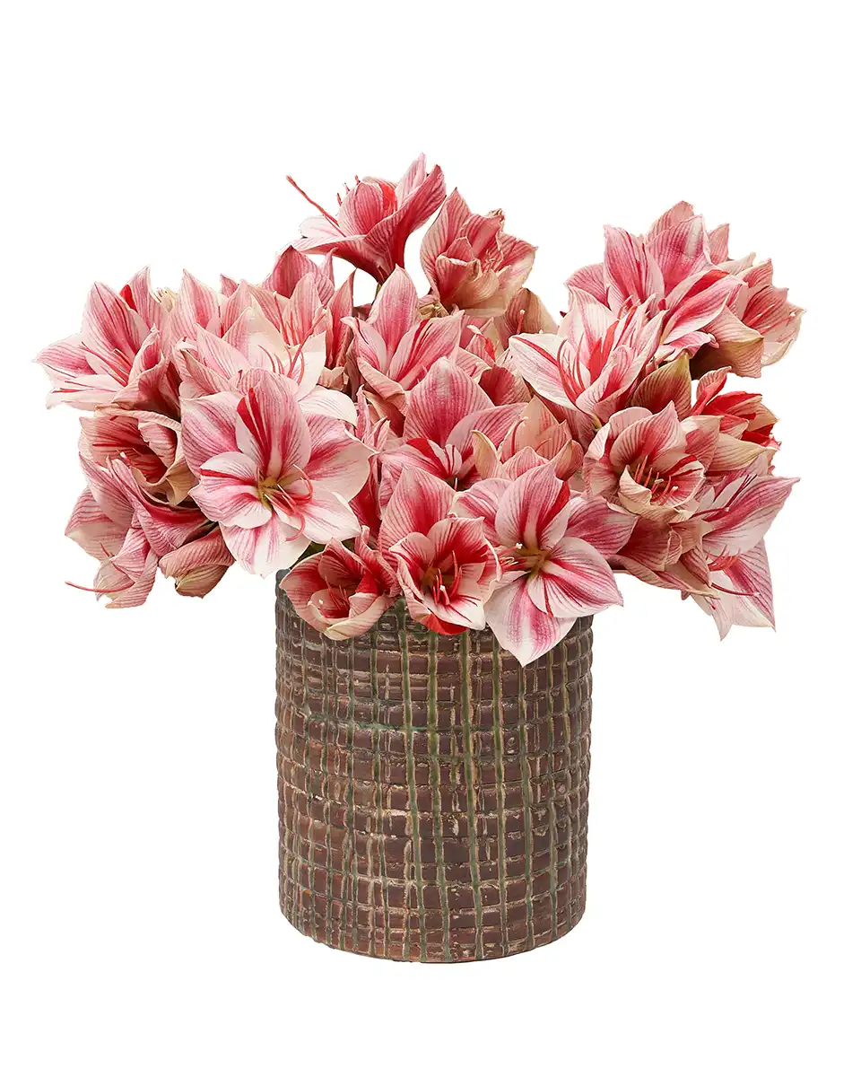 Simply Gervase Simply Gervase