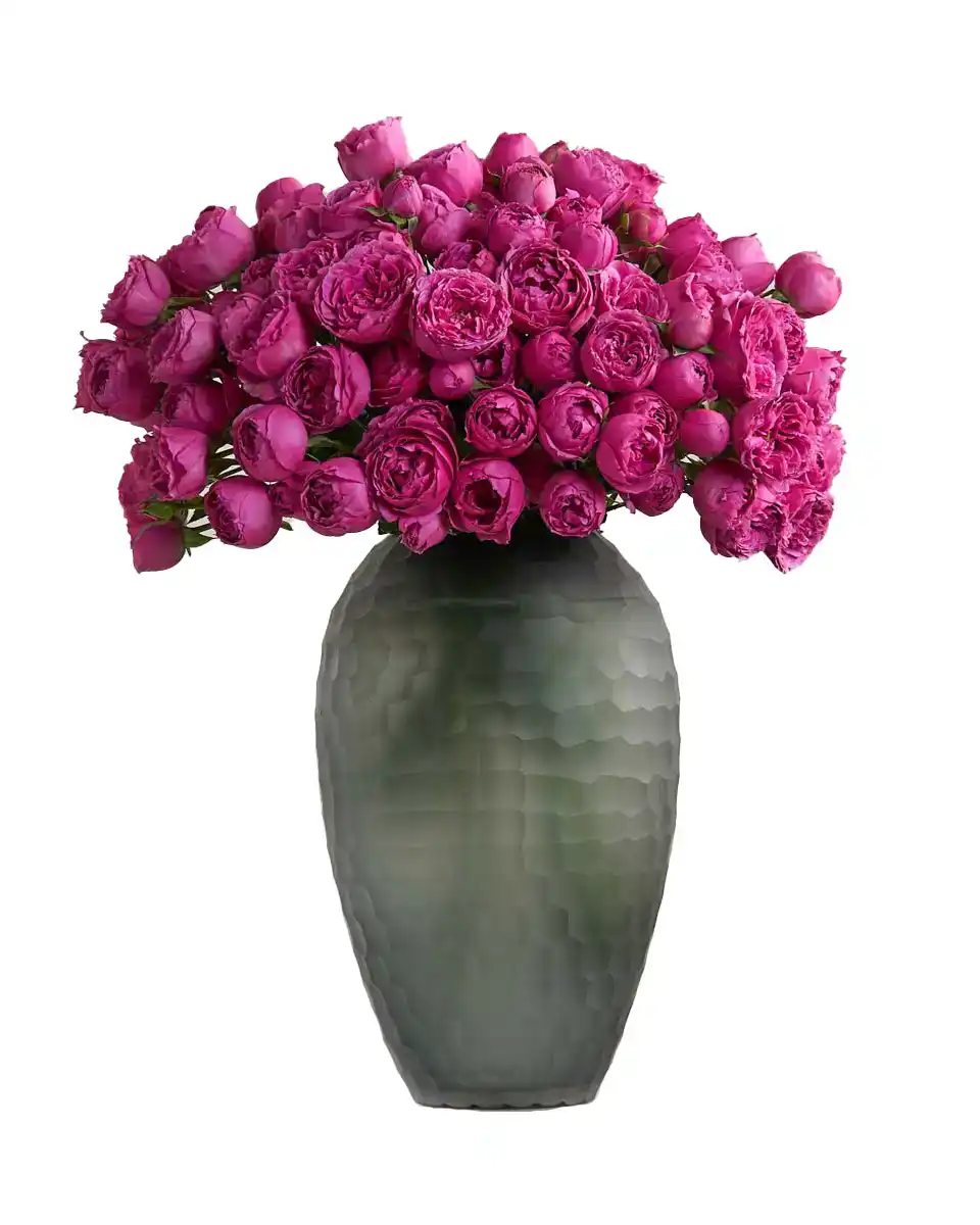 Special Misty Bubbles 2025