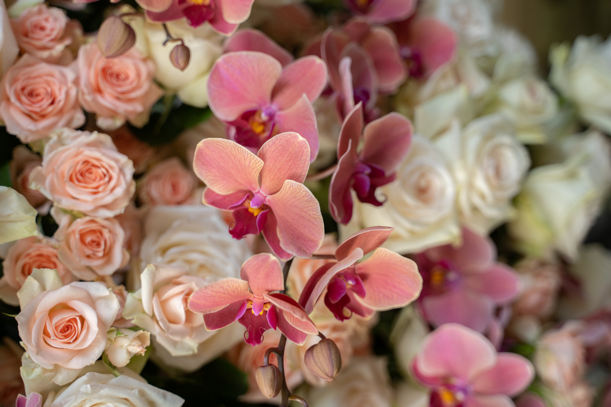 Why Luxury Flower Shops Stand Out in Dubai Darcey Flowers