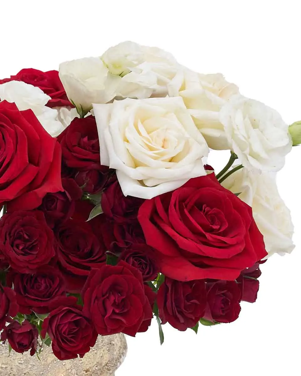 Celebrate UAE ND2 2025 Detail2 Celebrate UAE ND2 2025 Detail2