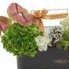 Darcey's Delight Details 2 Darcey's Delight Details 2