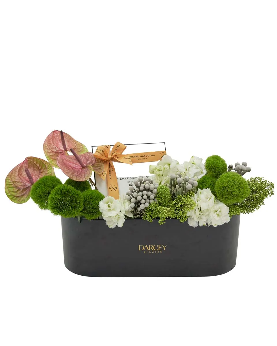 Darcey's Delight Darcey's Delight