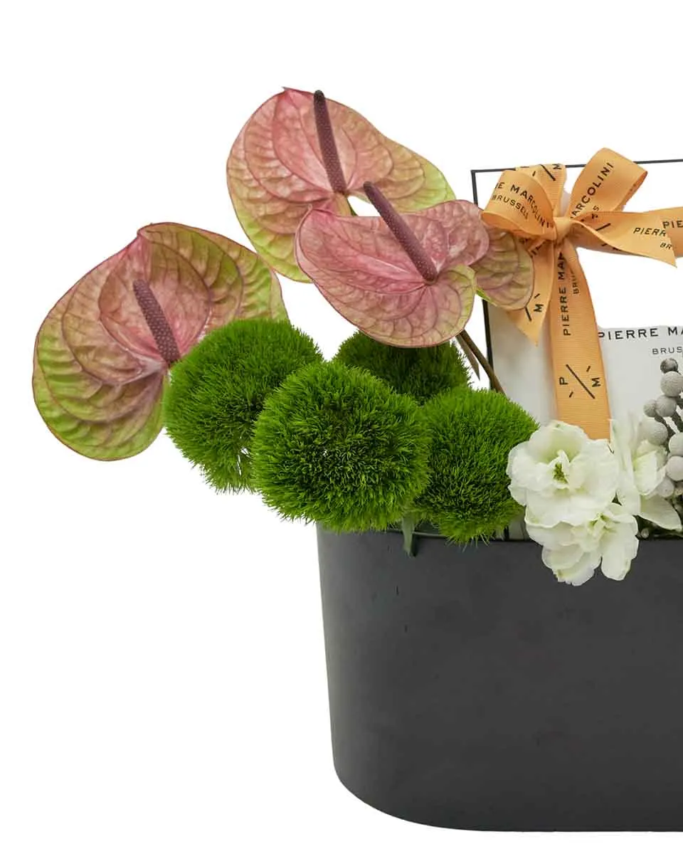 Darcey's Delight2 Darcey's Delight2