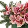 Festive Amaryllis 2025 detail