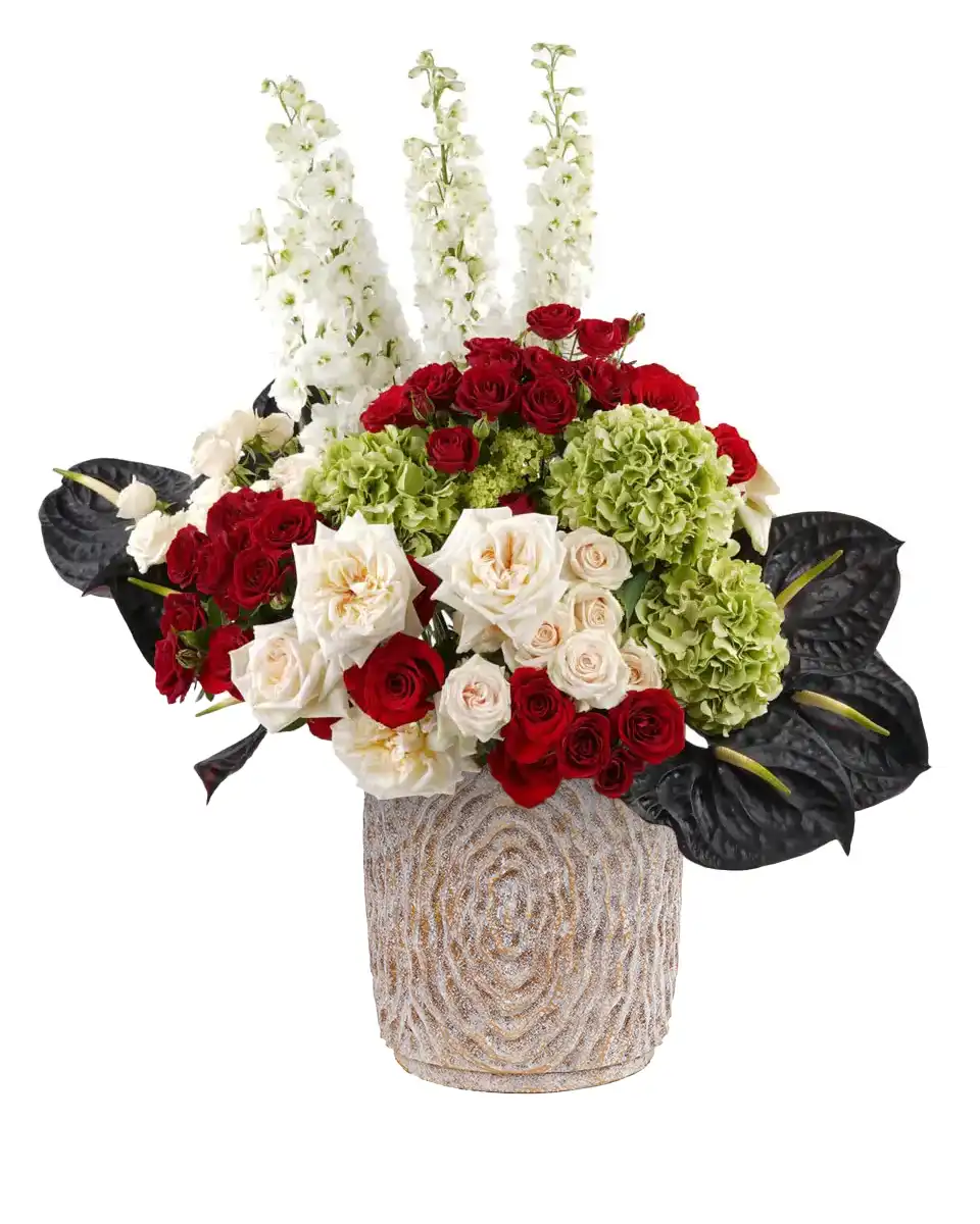 Grand Display 2024 PLAYFUL MITTY