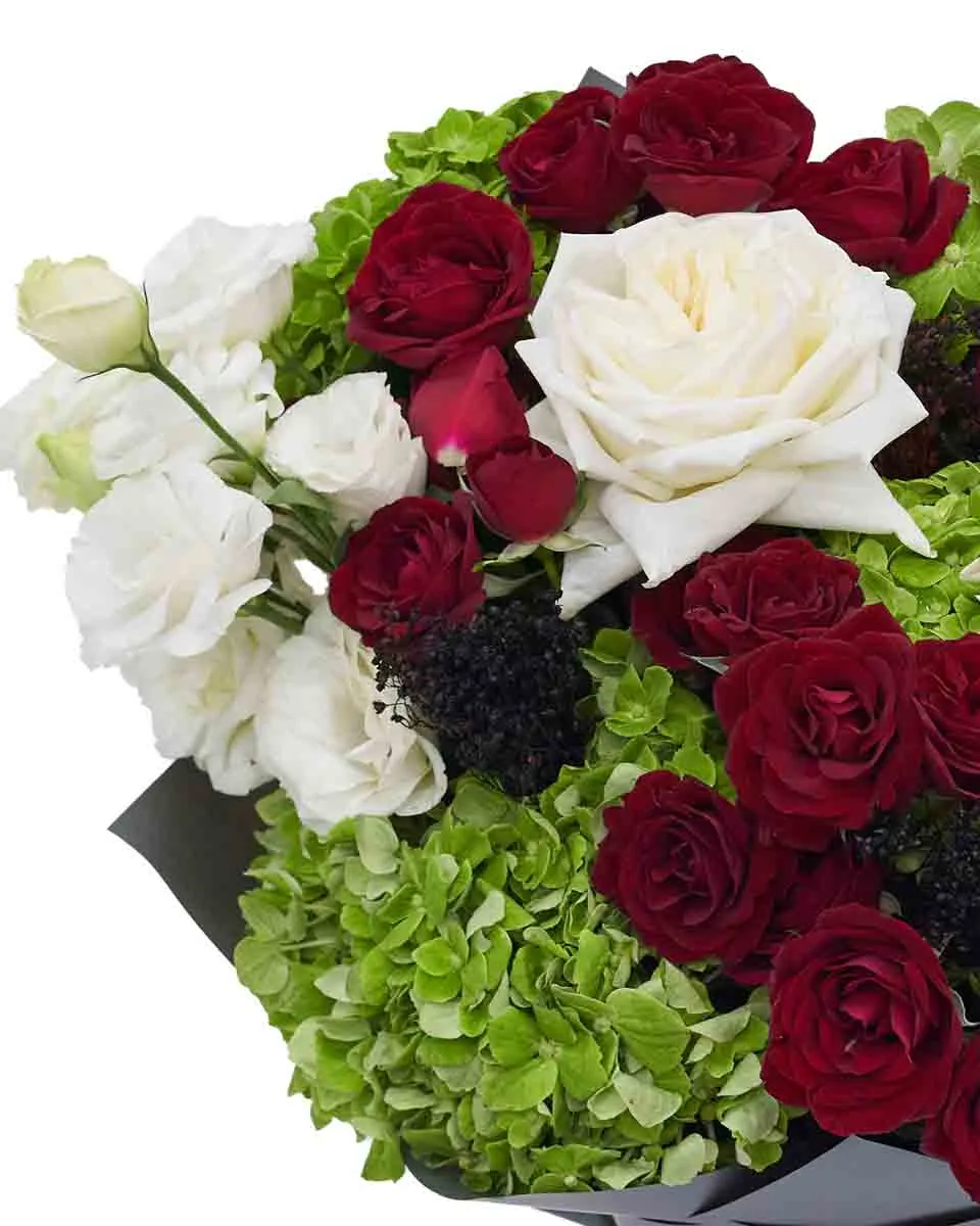 Harmony UAE ND 2025 Details