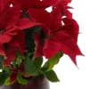 Holiday Glow details