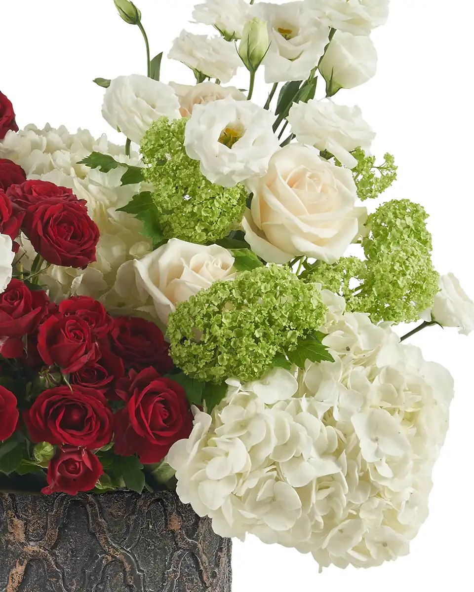 Nation Colors Left Edited