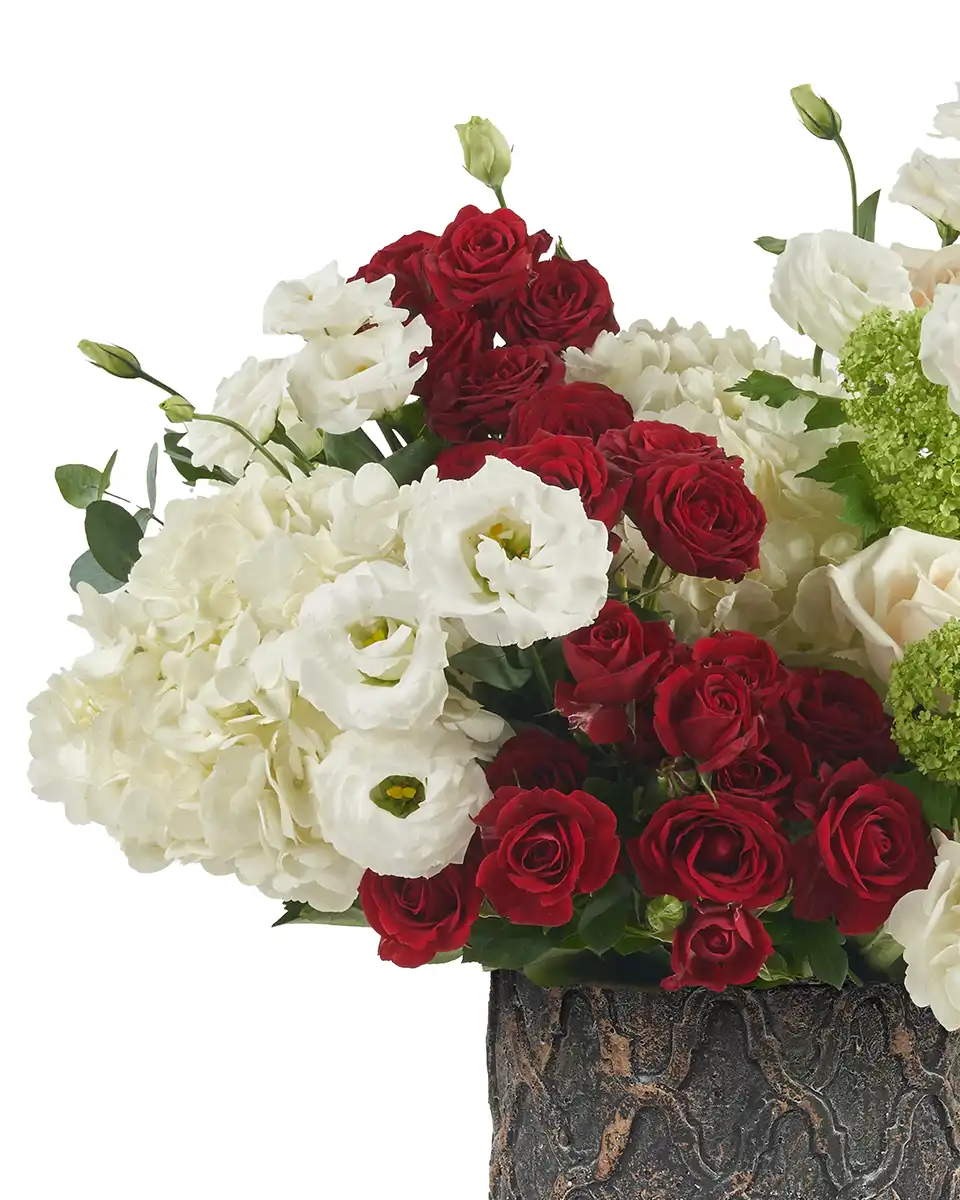 Nation Colors Right Edited