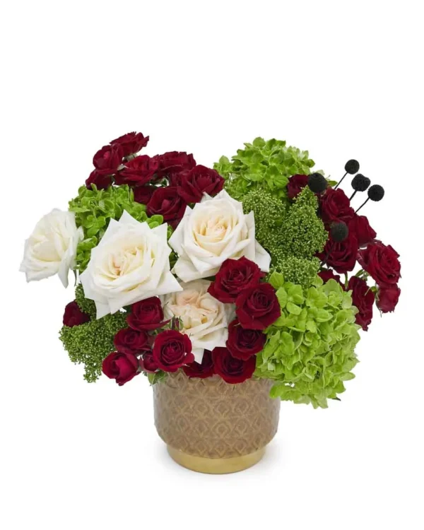 Oasis WOnders UAE ND2 2025