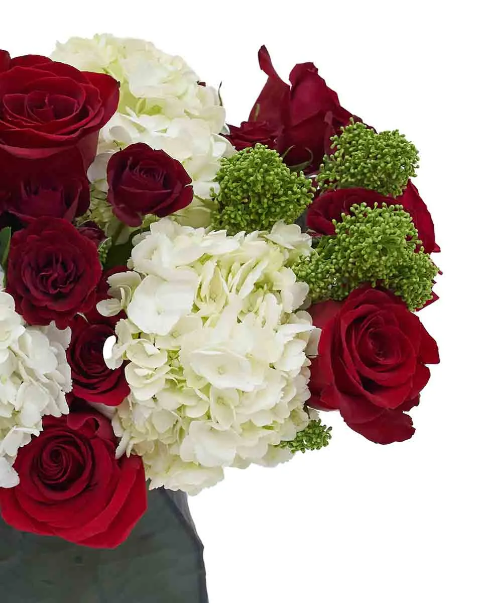 Oasis UAE ND2 2025 Detail2