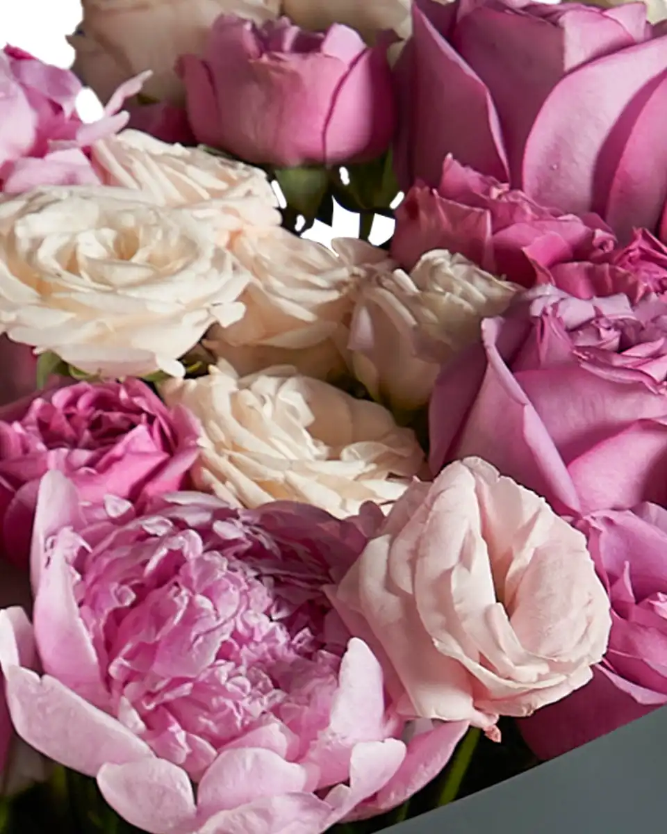 PASTEL MAGIC Impressive edited2