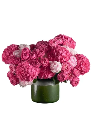 PInk Delight 1Nov2025