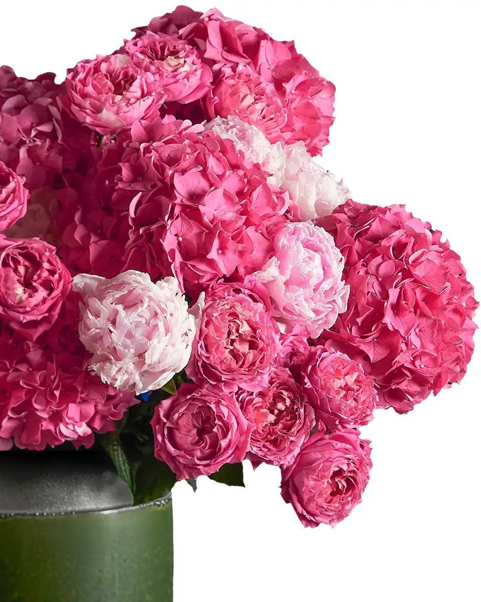 PInk Delight 1Nov2025 2