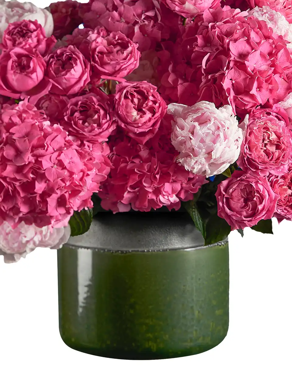 PInk Delight 1Nov2025 3