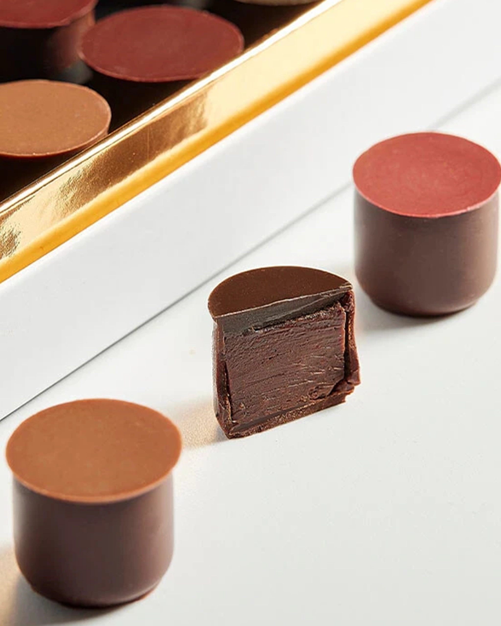 Plumier of Grands Crus2