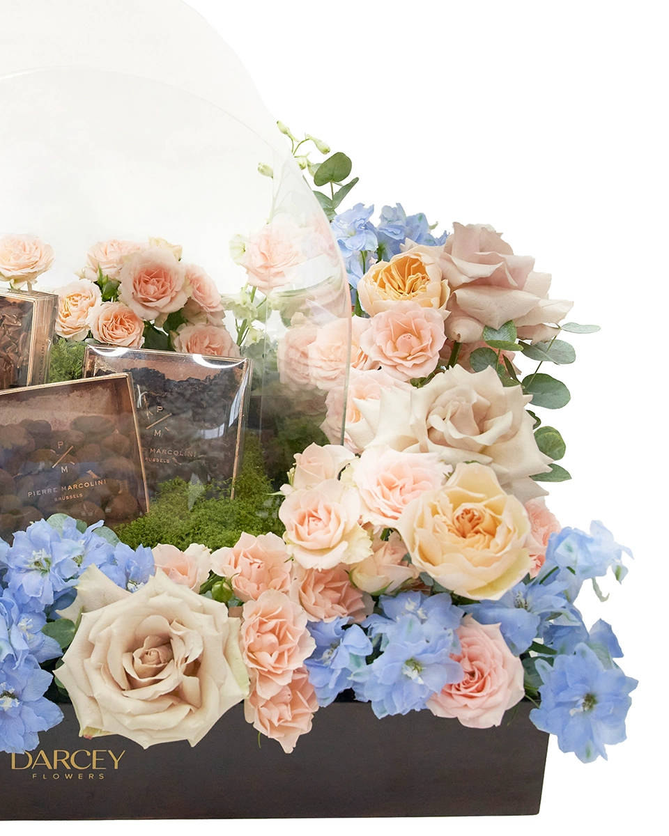 Sugar Kiss 2026 details 2