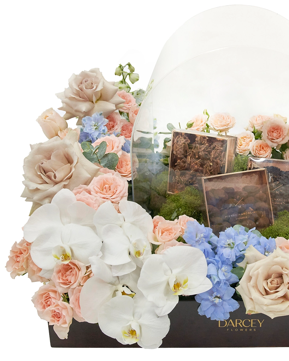 Sugar Kiss 2026 details