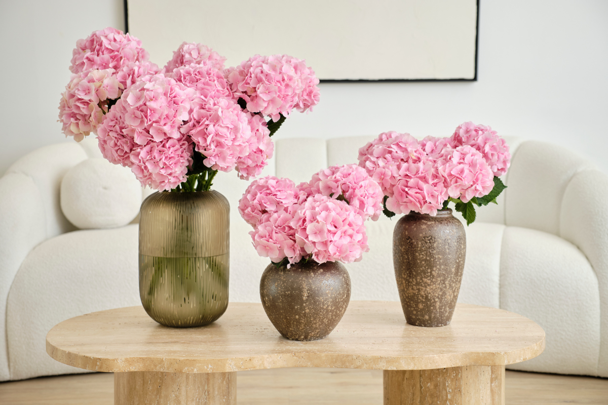 What To Expect From A Premium Flower Subscription Service Darcey Flowers
