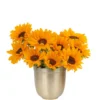 YOU'RE MY SUNSHINE