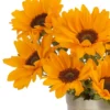 YOU'RE MY SUNSHINE Details1
