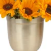 YOU'RE MY SUNSHINE Details2