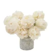 Cloud like Peony