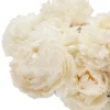 Cloud like Peony Details