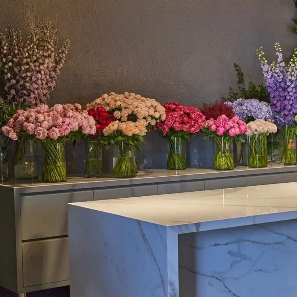 Darcey aq2 1024x1024 Edited2