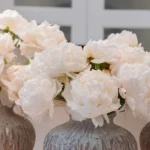 JBF 2026 Cover banne2